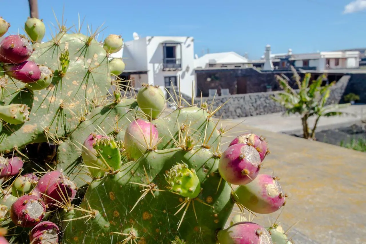 Casa Los Veroles Lanzarote El Islote Country house
